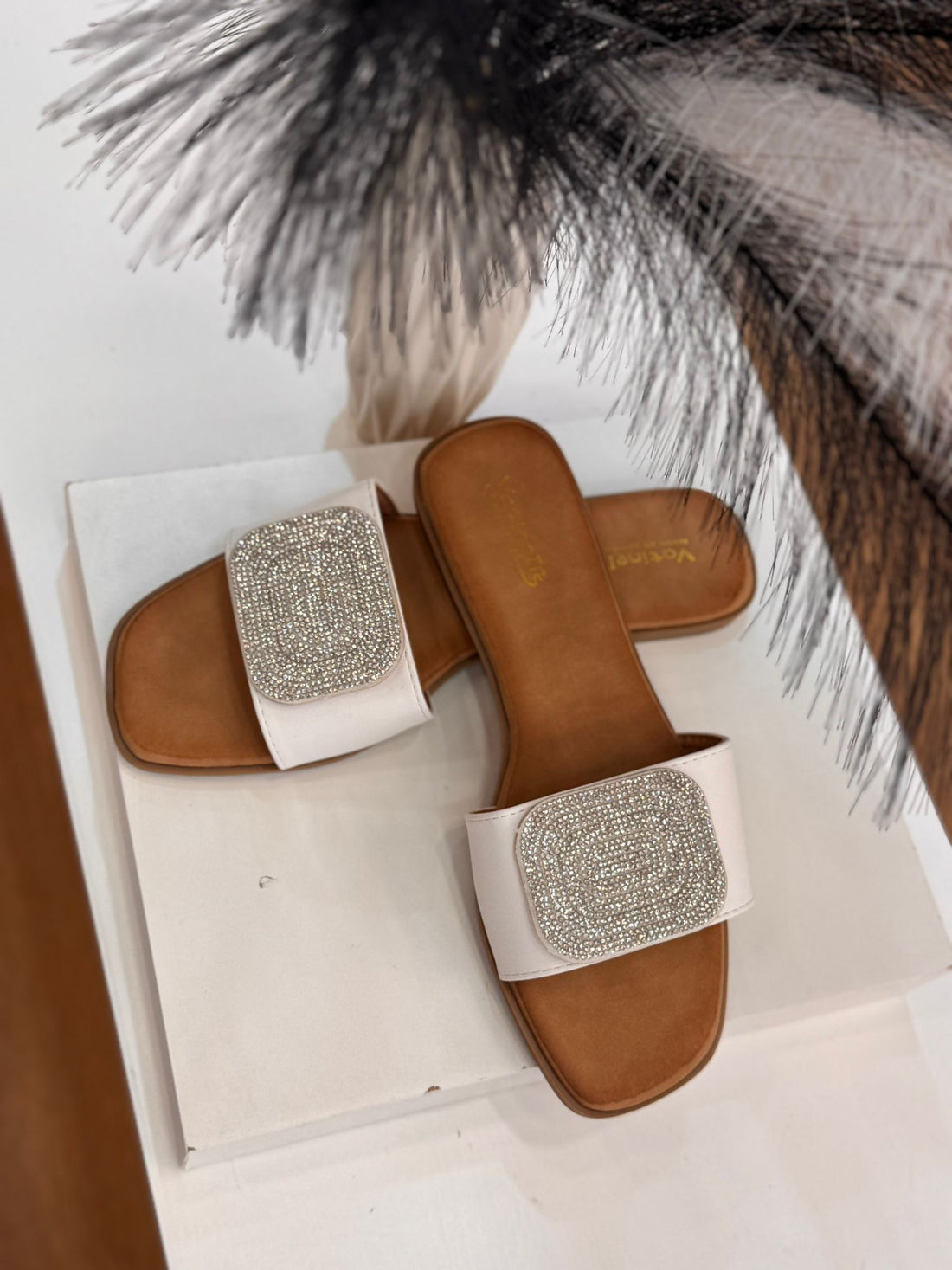 Zapatillas, círculo brillosa