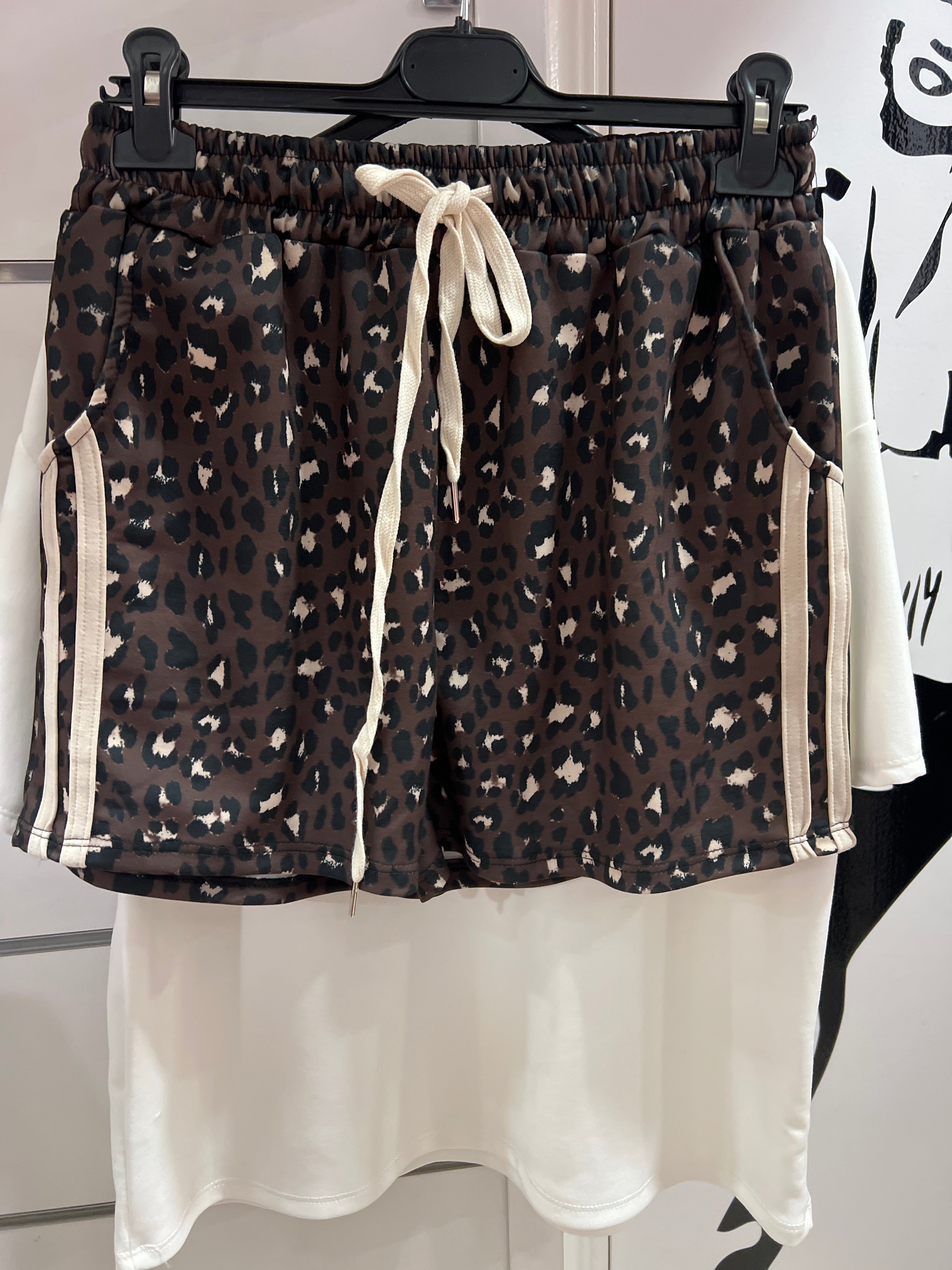 Conjunto leo