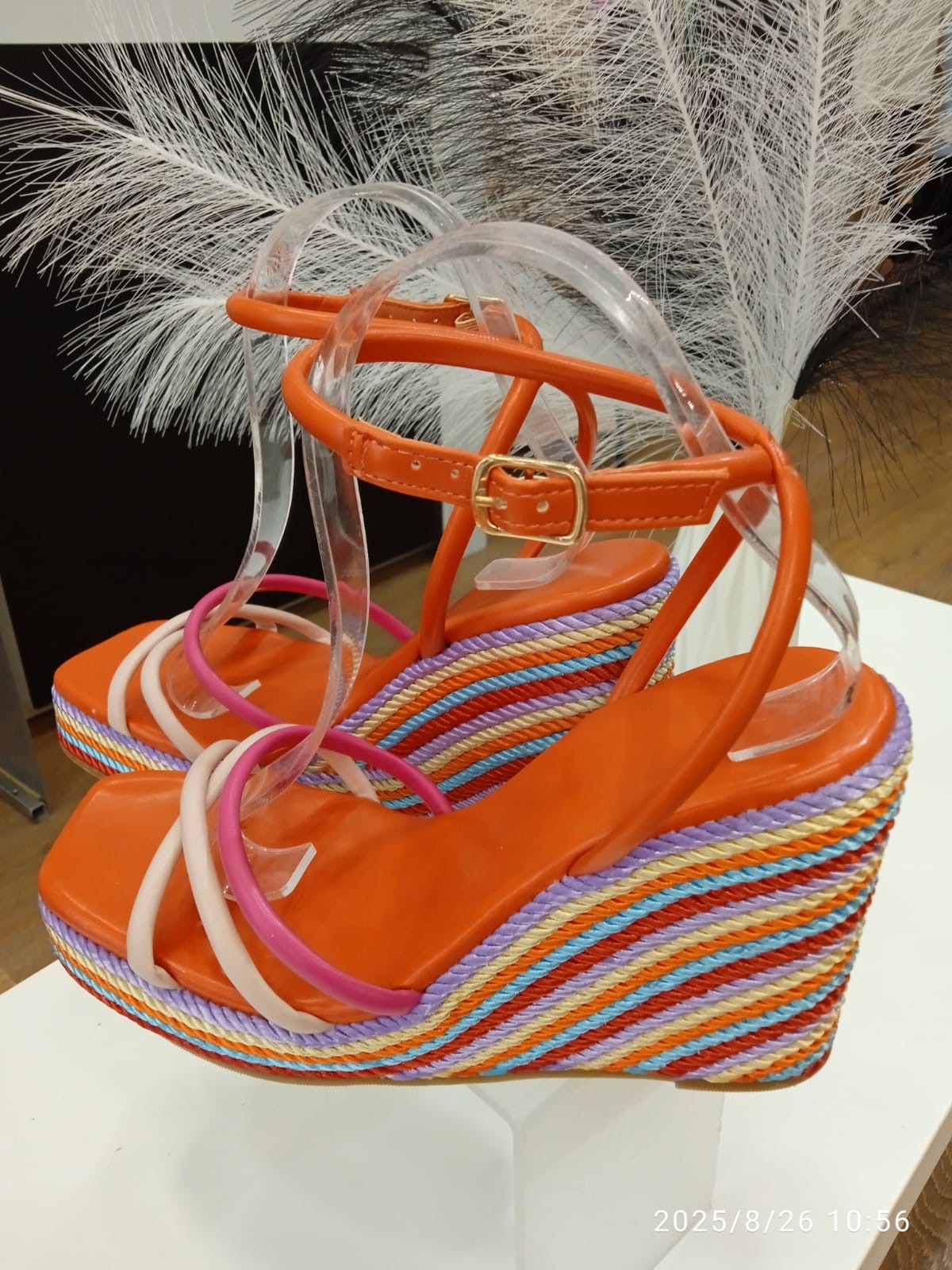 Zanco celia , colores