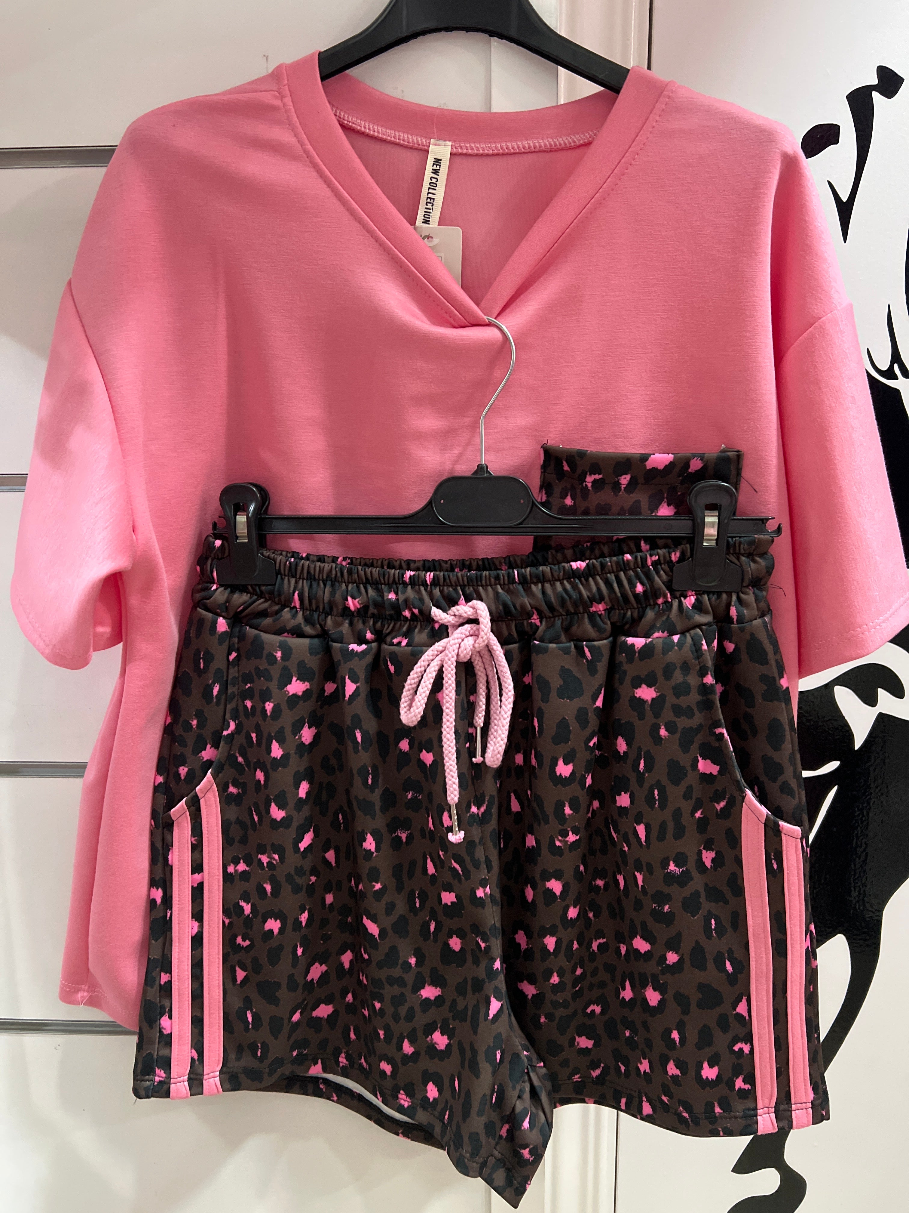 Conjunto leo