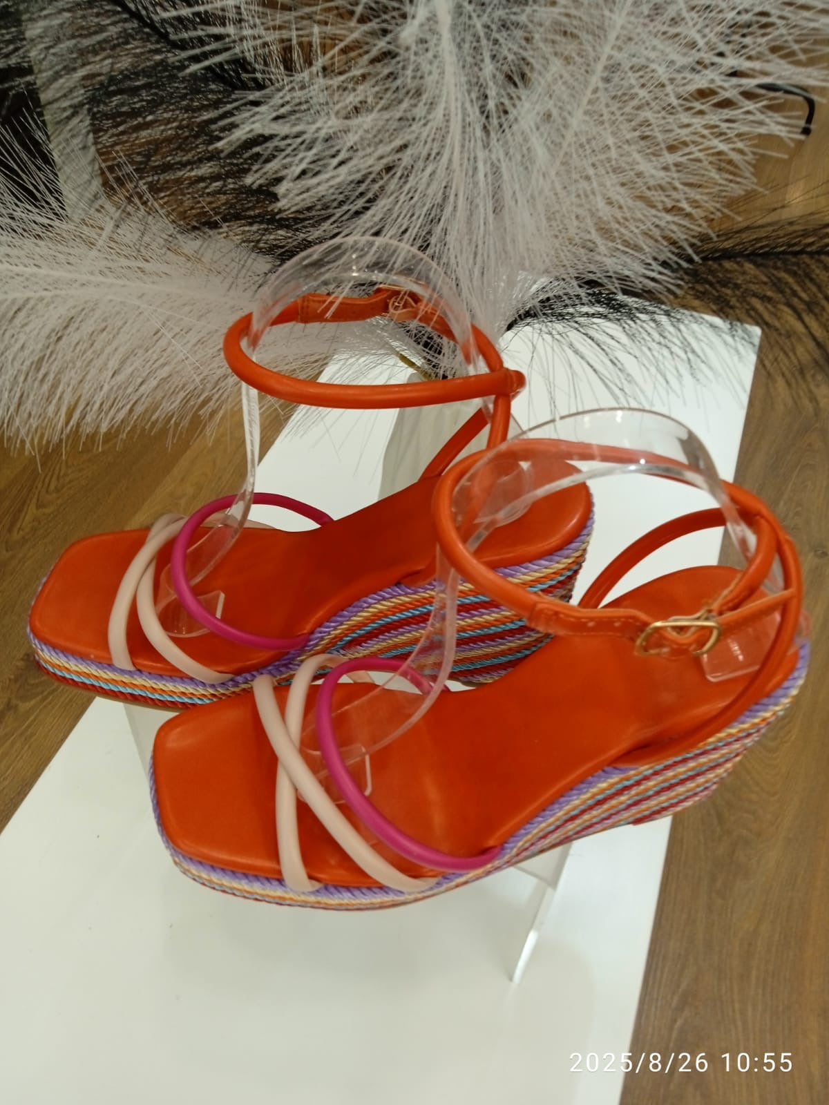Zanco celia , colores