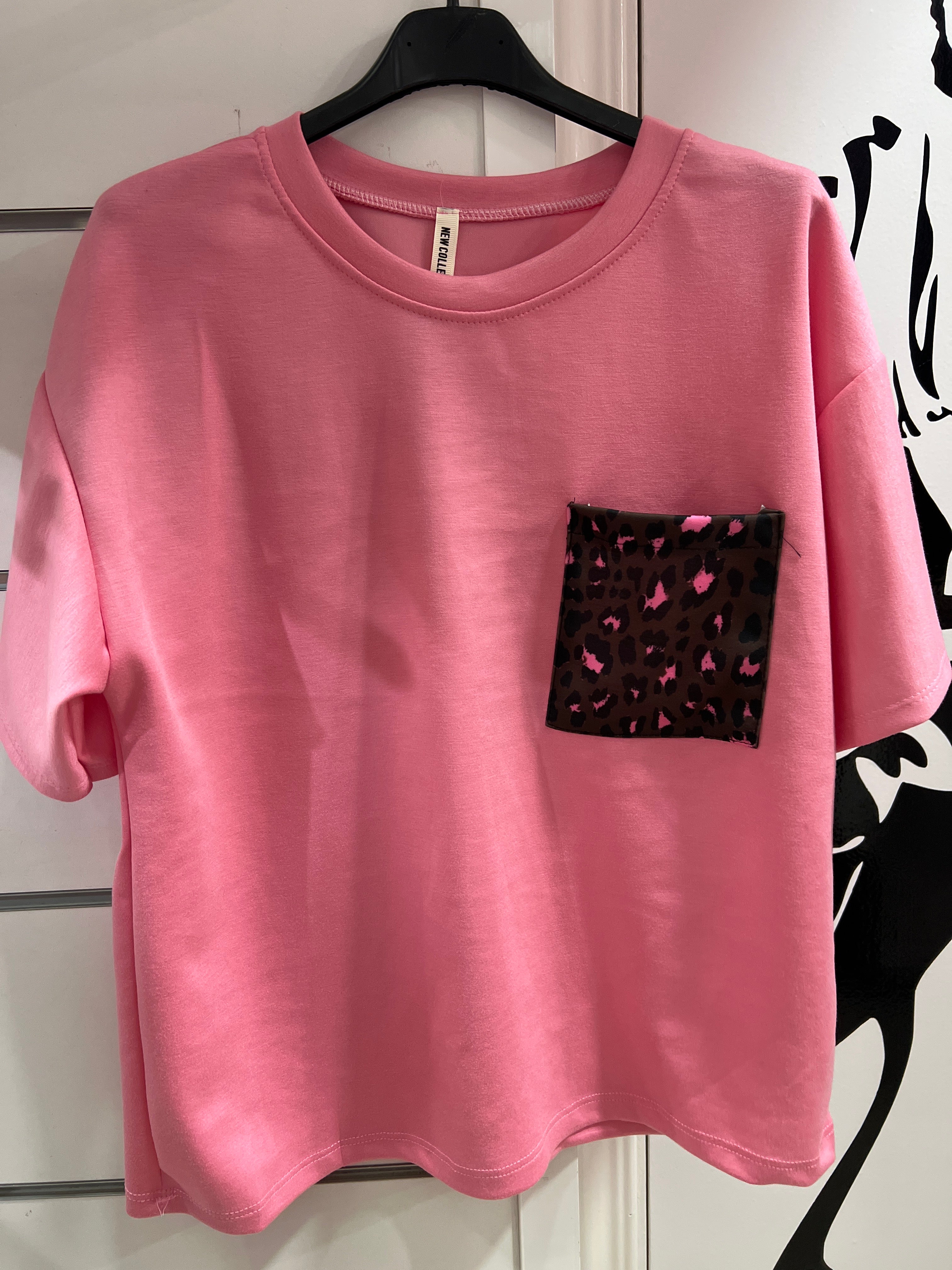 Conjunto leo